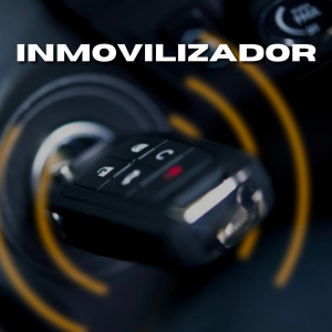 Inmobilizador